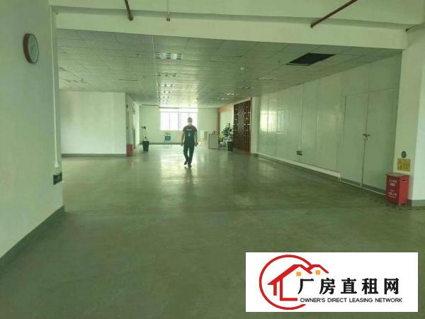  新出独栋厂房，形象好，