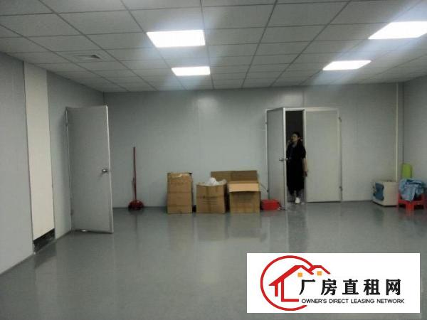  出租清溪镇上元小面积370平方无尘车间出租
