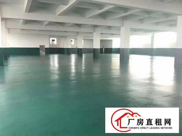  清溪原房东新厂房出租