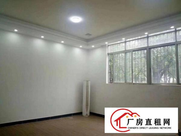  （原房东急租）清溪客运站附近空出现成豪华装修办公室300平方