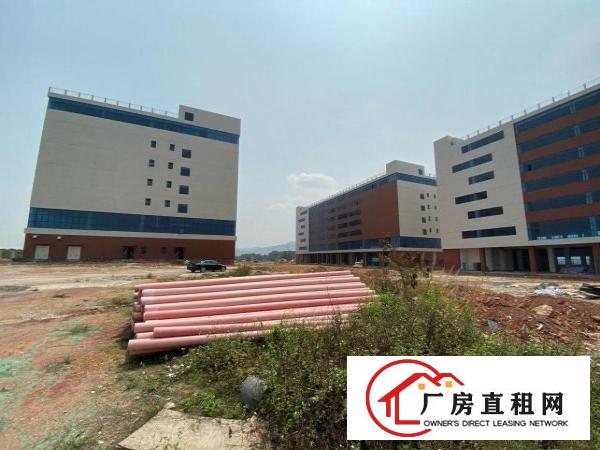  清溪新出原房东独门独院厂房