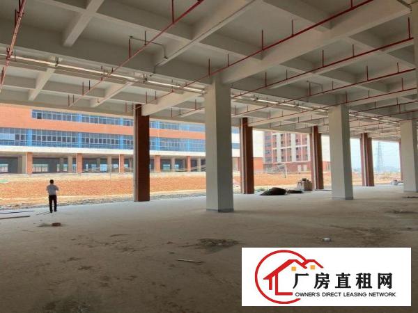  清溪新出原房东独门独院厂房