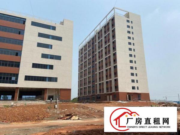  清溪新出原房东独门独院厂房
