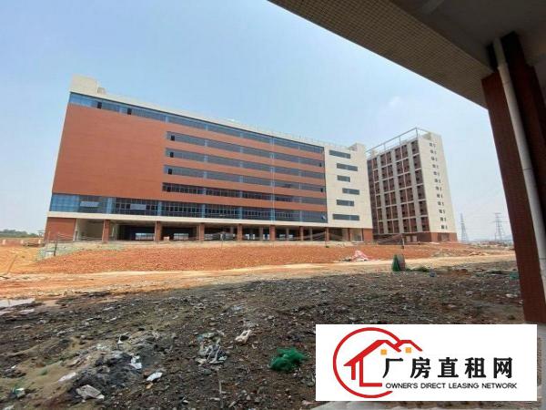  清溪新出原房东独门独院厂房