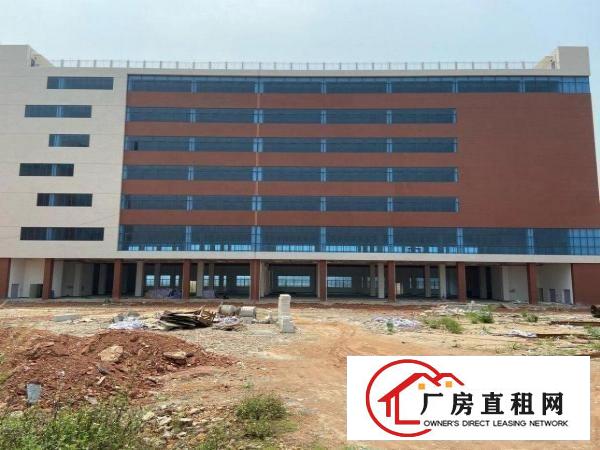  清溪新出原房东独门独院厂房