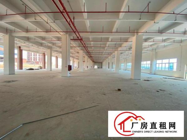  清溪三中新出原房东个人厂房临近高速交通便利