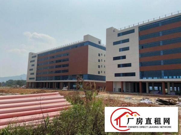  清溪三中新出原房东个人厂房临近高速交通便利