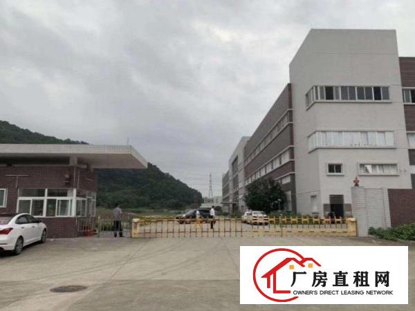  大利原房东标准电梯厂房1100平方，配3吨电梯