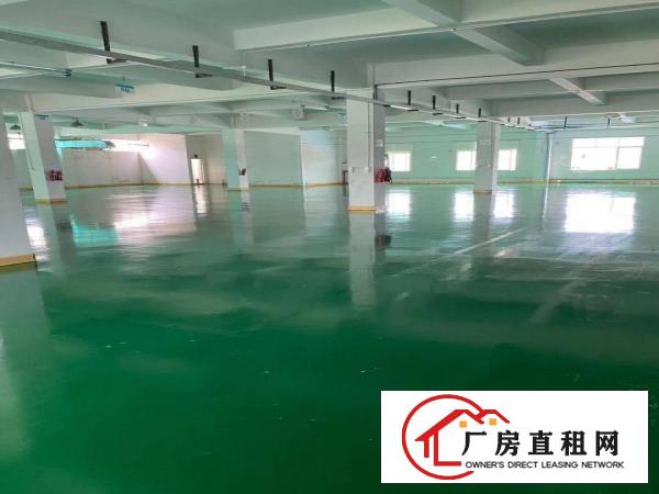  新出厂房出租价格便宜