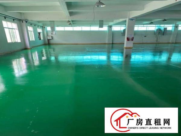  新出厂房出租价格便宜