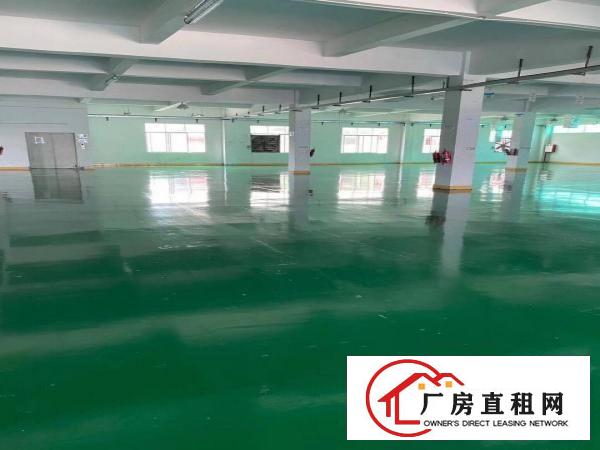  新出厂房出租价格便宜