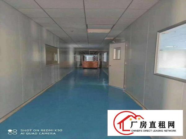  出租清溪镇三中村无尘车间带装修2700平大小好分租