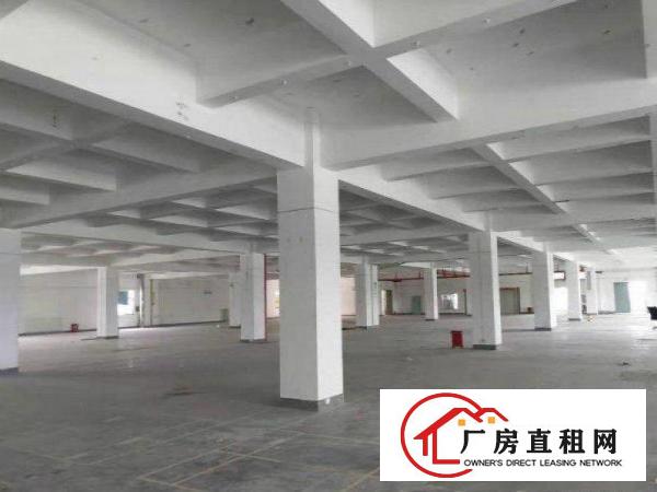  大埔分租四楼标准厂房700~1000平米，配货梯，带红本