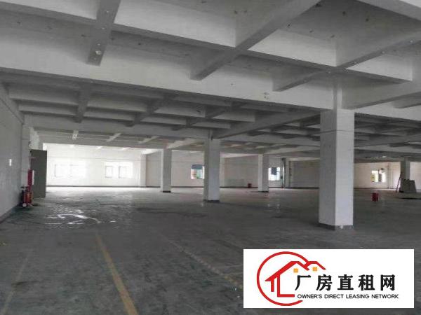  大埔分租四楼标准厂房700~1000平米，配货梯，带红本