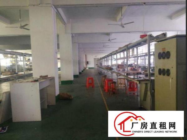  青皇一楼标准楼房500平方米出租，无公摊，水电齐全