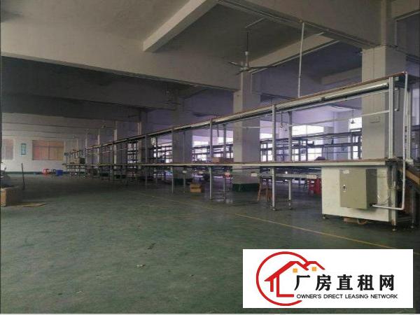  青皇一楼标准楼房500平方米出租，无公摊，水电齐全
