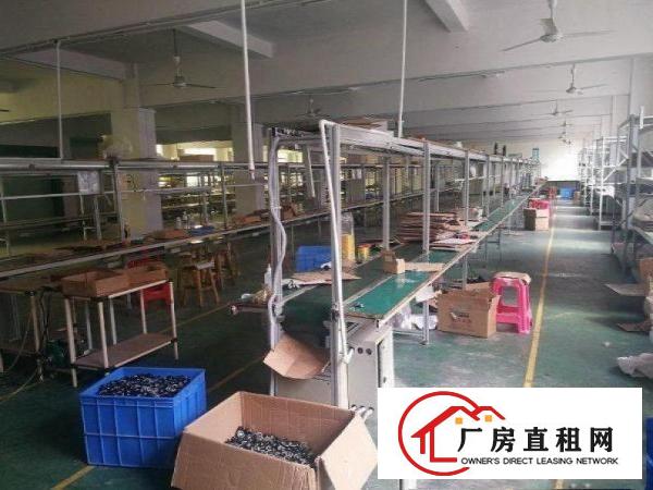  青皇一楼标准楼房500平方米出租，无公摊，水电齐全