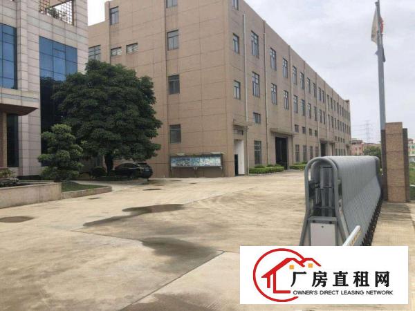  ~清溪长山头1000平方独院一楼厂房，空地大，带阁楼办公~