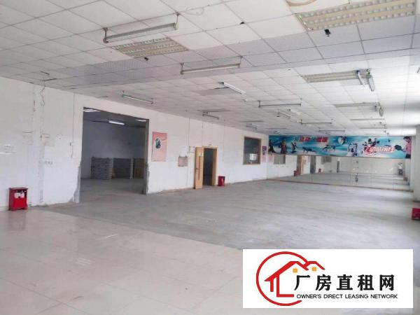  清溪三中近凤岗四楼厂房
