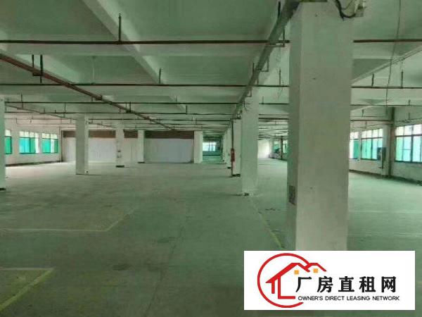  清溪主干道边原房东5600平方出租