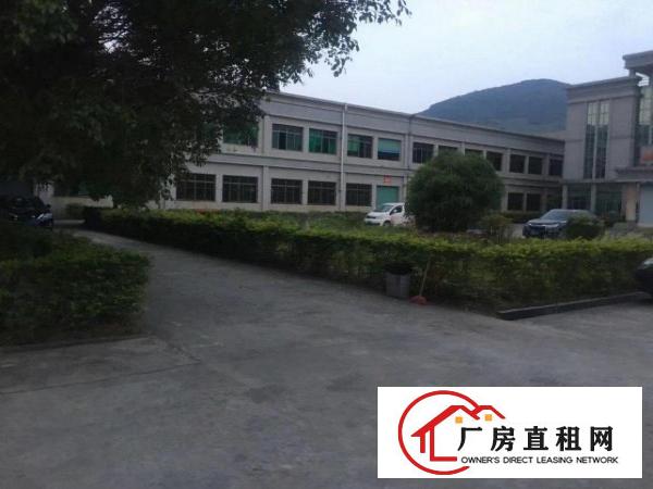  清溪主干道边原房东5600平方出租