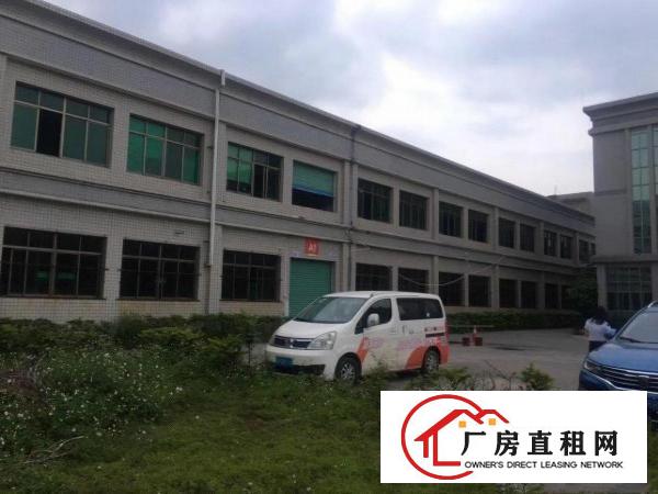  清溪主干道边原房东5600平方出租