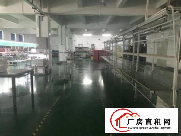  出租清溪镇清溪三中原房东标准厂房一楼1360平方