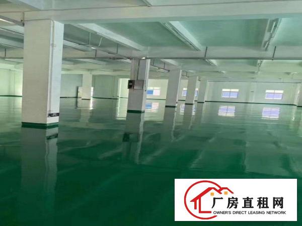  清溪新出楼上厂房2200平，可分租，全新地坪漆