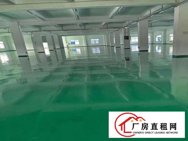  清溪新出楼上厂房2200平，可分租，全新地坪漆