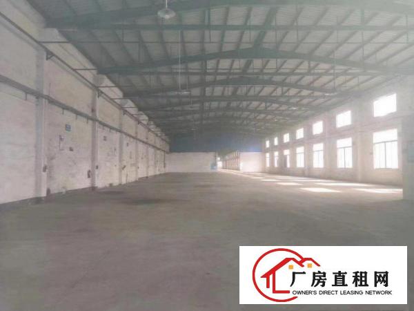  出租清溪铁松单一层钢构5000平方滴水8米，可架行车，可分租