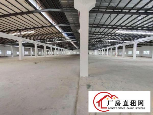  出租清溪铁松单一层钢构5000平方滴水8米，可架行车，可分租