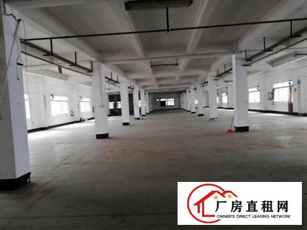  铁场10000平方独门独院标准厂房招租，配电大