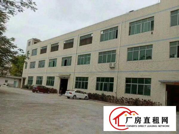  罗马无公摊办公室原房东独院标准厂房招租600平方