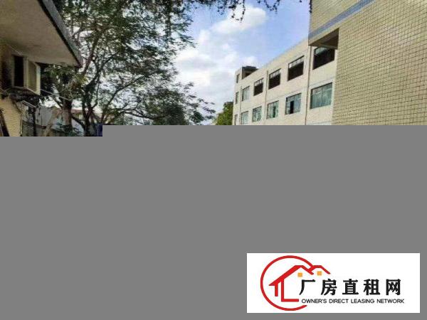  罗马无公摊办公室原房东独院标准厂房招租600平方