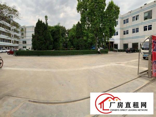 清溪新出原房东厂房三楼600平方带装修出租