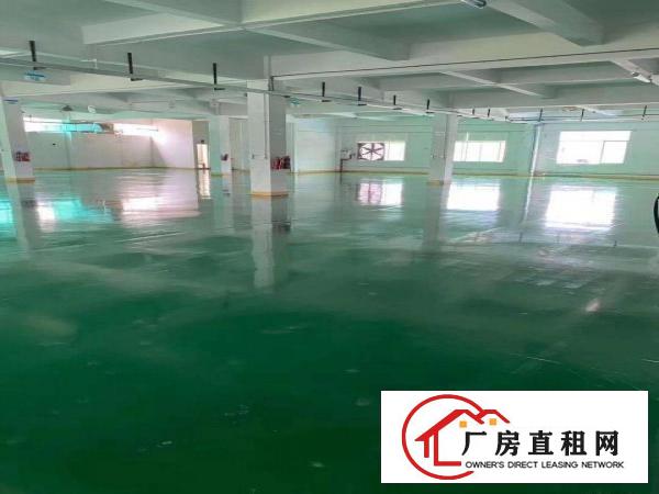  清溪大利新出标准厂房三楼2200平米。