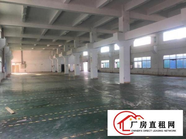  原房东国有证红本独院厂房出租
