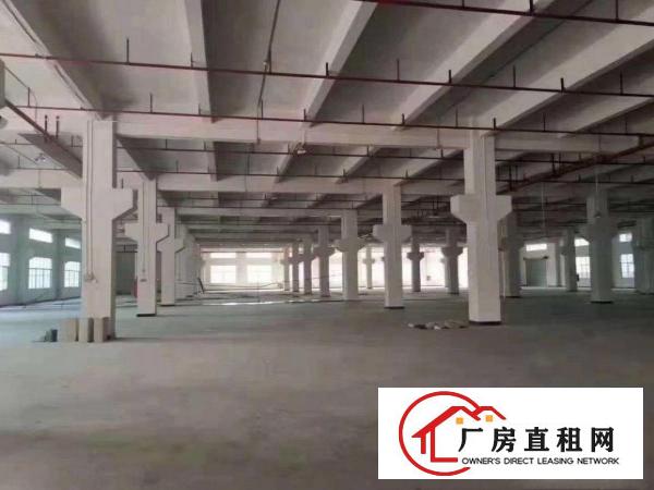  原房东国有证红本独院厂房出租