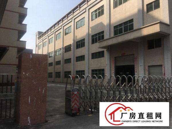  原房东国有证红本独院厂房出租