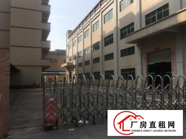  原房东国有证红本独院厂房出租