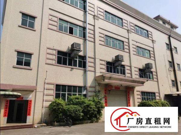  清溪镇浮岗原房东小独院厂房出租4000平方交通方便易招工