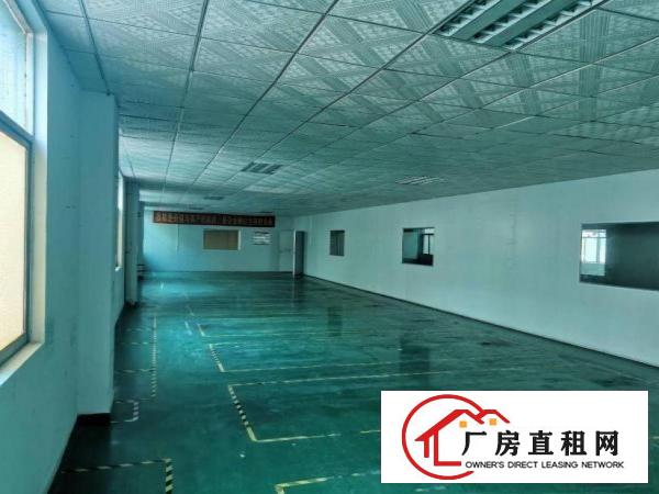  清溪镇浮岗原房东小独院厂房出租4000平方交通方便易招工