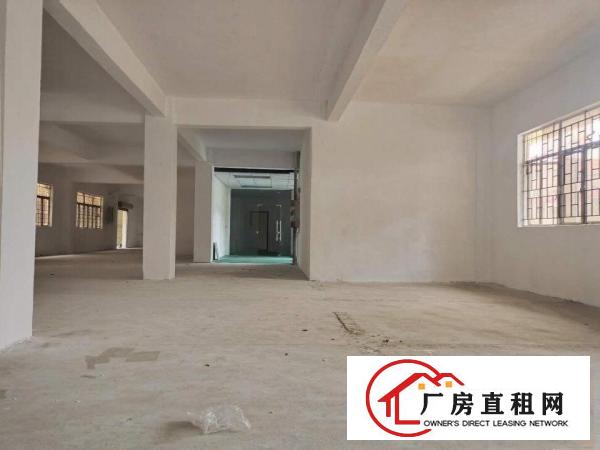  清溪中心区精装修厂房出租