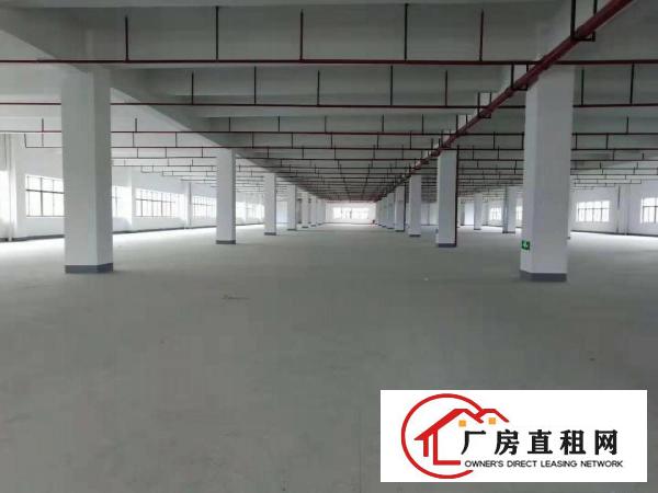  出租清溪镇10000平标准厂房，形象好！大小可分组！