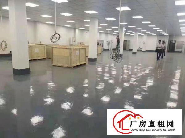  出租清溪镇清溪客运站高大上标准厂房