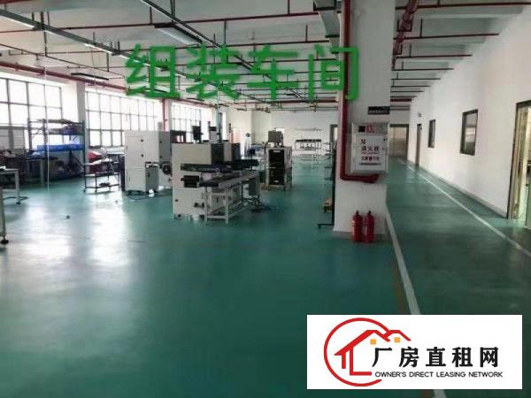  上市公司看过来，清溪10000平花园式标准厂房，形象好！