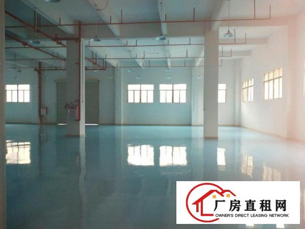  清溪镇罗马村高速路口全新标准厂房出租