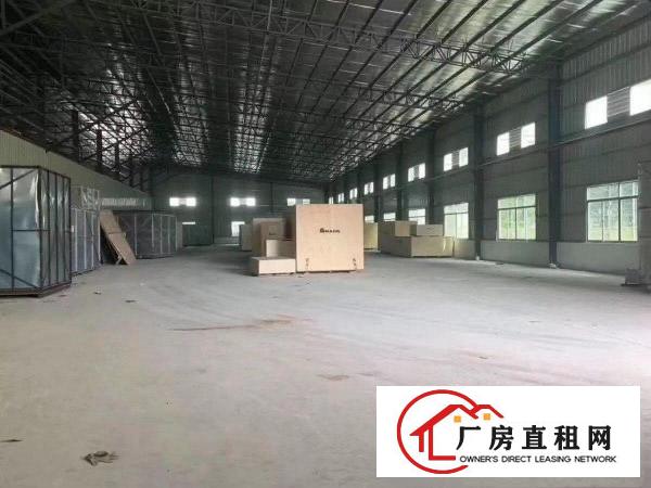 出租清溪铁松新出独院9米高钢构厂房3250平方，带隔热层