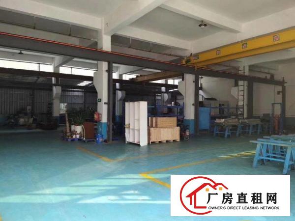  清溪原房东独院厂房3500平方大小可分
