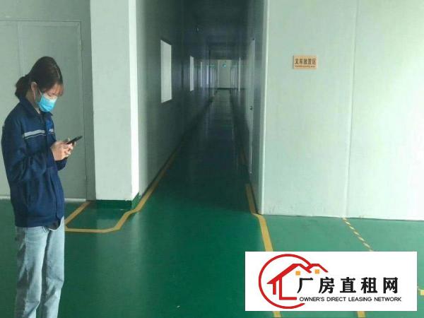  清溪原房东独院厂房3500平方大小可分